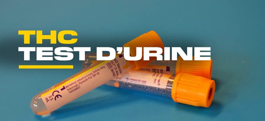 test urine thc