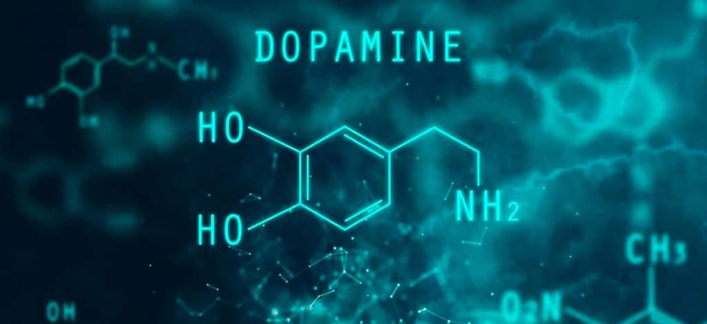 dopamine thc
