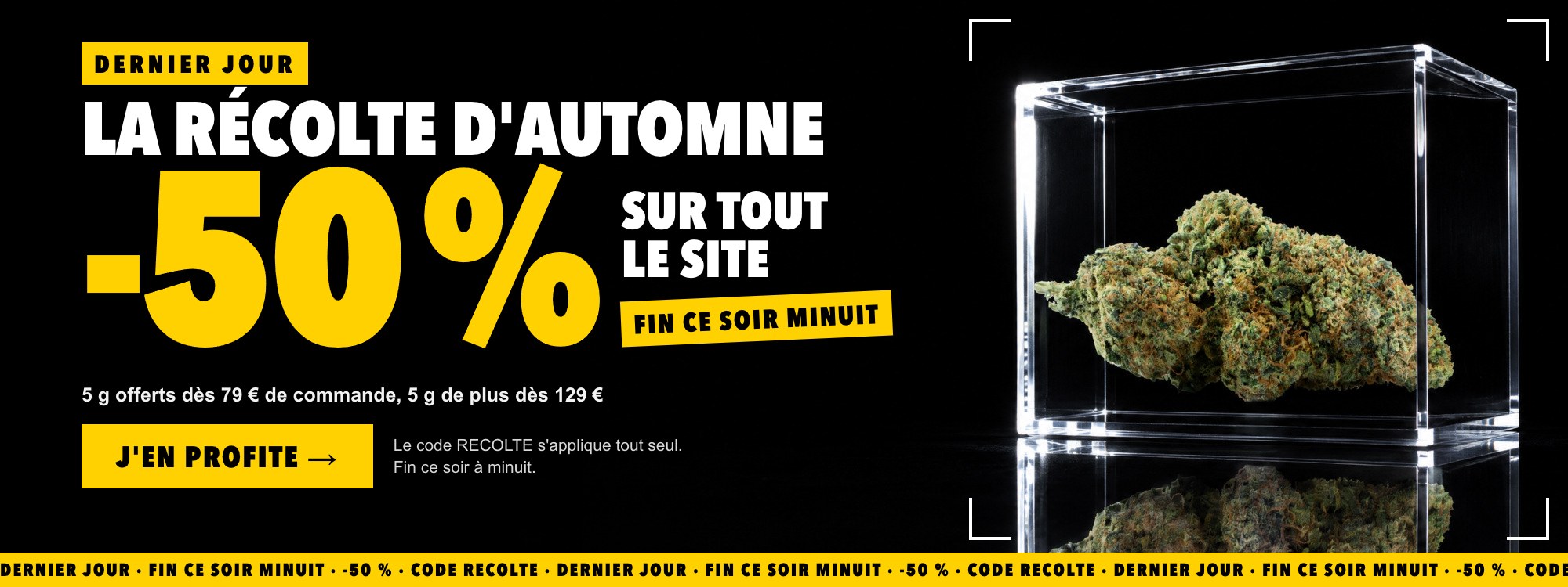 La Récolte d'Automne : -50 % sur tout le site avec le code RECOLTE