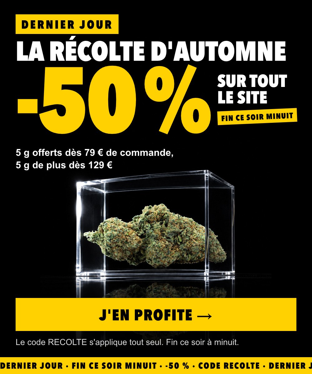 La Récolte d'Automne : -50 % sur tout le site avec le code RECOLTE